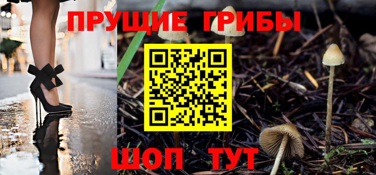 Снежинск  Псилоцибиновые грибы мицелий  Вход с VPN 